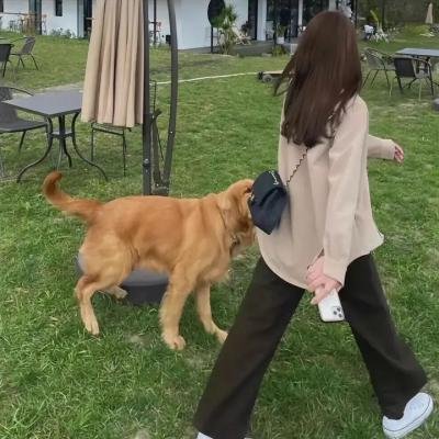 美国回老家
