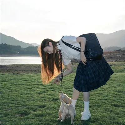 恋恋飞翔
